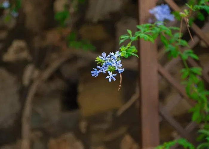 Dolce House Stunning Views By The Sea Holiday home *